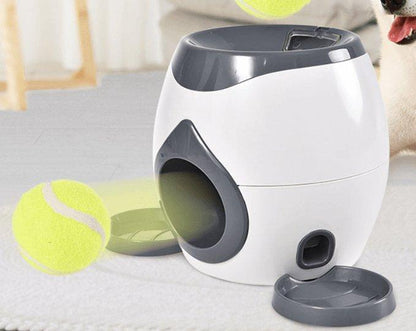 Automatic Pet Training And Feeding System-6